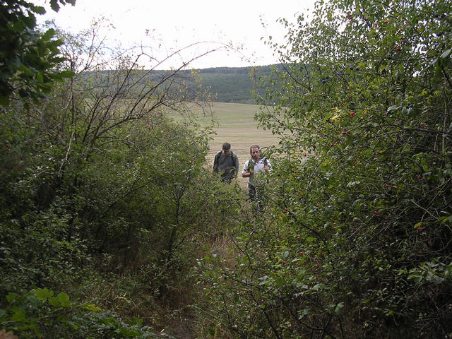 A képhez tartozó alt jellemző üres; 20241018_101325.jpg a fájlnév