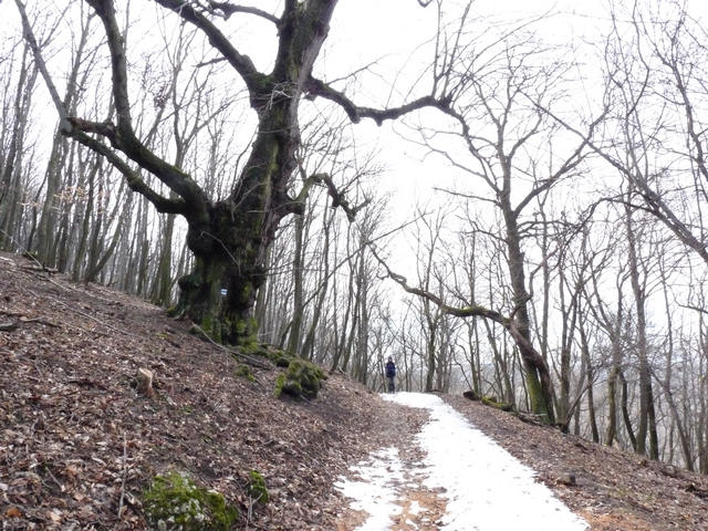 A képhez tartozó alt jellemző üres; 20241018_101325.jpg a fájlnév