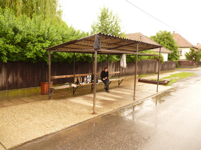 A képhez tartozó alt jellemző üres; 20241018_101325.jpg a fájlnév