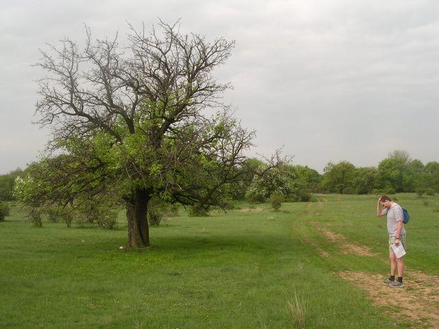 A képhez tartozó alt jellemző üres; 20241018_101325.jpg a fájlnév
