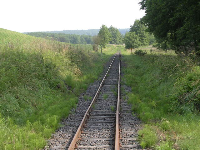 A képhez tartozó alt jellemző üres; 20241018_101325.jpg a fájlnév
