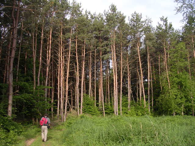 A képhez tartozó alt jellemző üres; 20241018_101325.jpg a fájlnév