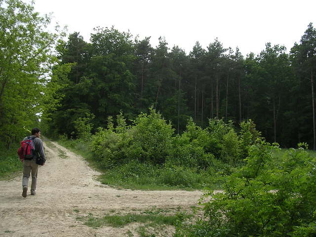 A képhez tartozó alt jellemző üres; 20241018_101325.jpg a fájlnév