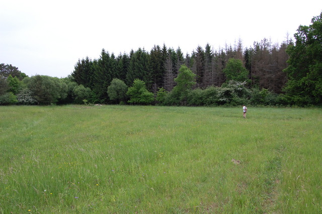 A képhez tartozó alt jellemző üres; 20241018_101325.jpg a fájlnév