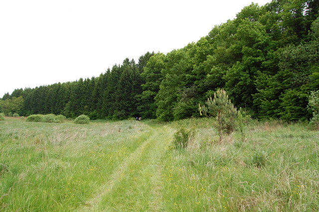 A képhez tartozó alt jellemző üres; 20241018_101325.jpg a fájlnév