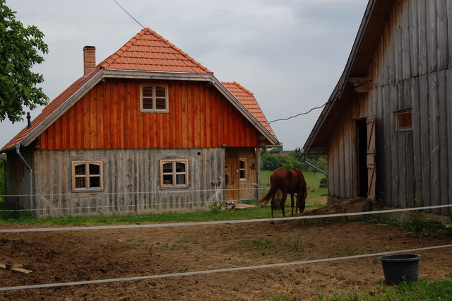 A képhez tartozó alt jellemző üres; 20241018_101325.jpg a fájlnév