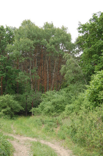 A képhez tartozó alt jellemző üres; 20241018_101325.jpg a fájlnév