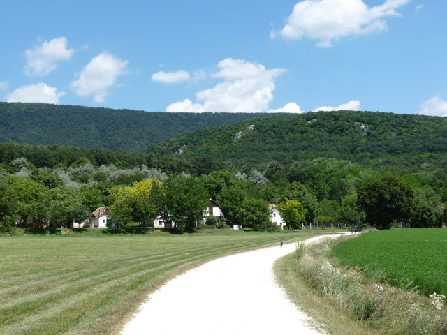 A képhez tartozó alt jellemző üres; 20241018_101325.jpg a fájlnév