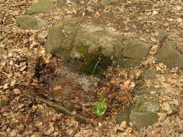 A képhez tartozó alt jellemző üres; 20241018_101325.jpg a fájlnév