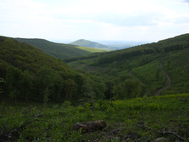 A képhez tartozó alt jellemző üres; 20241018_101325.jpg a fájlnév