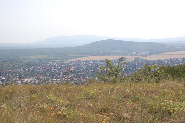 A képhez tartozó alt jellemző üres; 20241018_101325.jpg a fájlnév