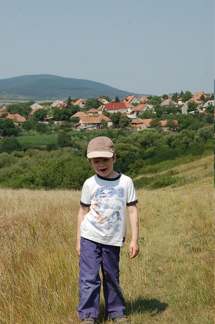 A képhez tartozó alt jellemző üres; 20241018_101325.jpg a fájlnév