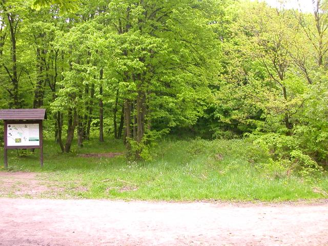 A képhez tartozó alt jellemző üres; 20241018_101325.jpg a fájlnév