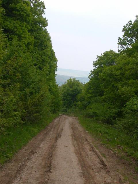 A képhez tartozó alt jellemző üres; 20241018_101325.jpg a fájlnév