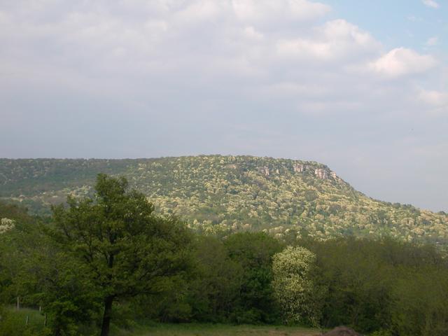 A képhez tartozó alt jellemző üres; 20241018_101325.jpg a fájlnév