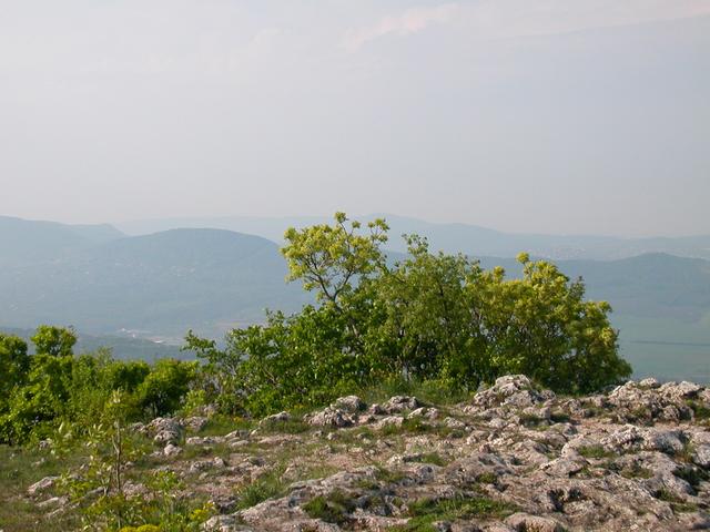 A képhez tartozó alt jellemző üres; 20241018_101325.jpg a fájlnév