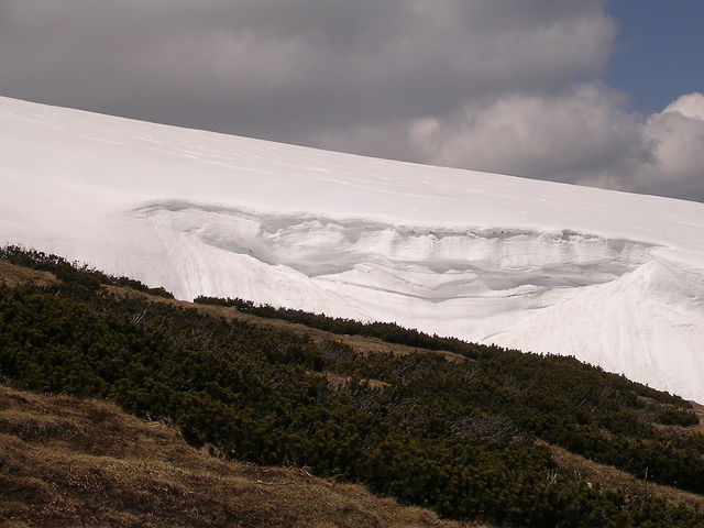 A képhez tartozó alt jellemző üres; 20241018_101325.jpg a fájlnév
