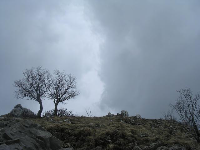 A képhez tartozó alt jellemző üres; 20241018_101325.jpg a fájlnév