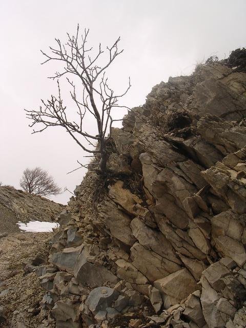 A képhez tartozó alt jellemző üres; 20241018_101325.jpg a fájlnév
