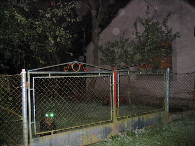 A képhez tartozó alt jellemző üres; 20241018_101325.jpg a fájlnév