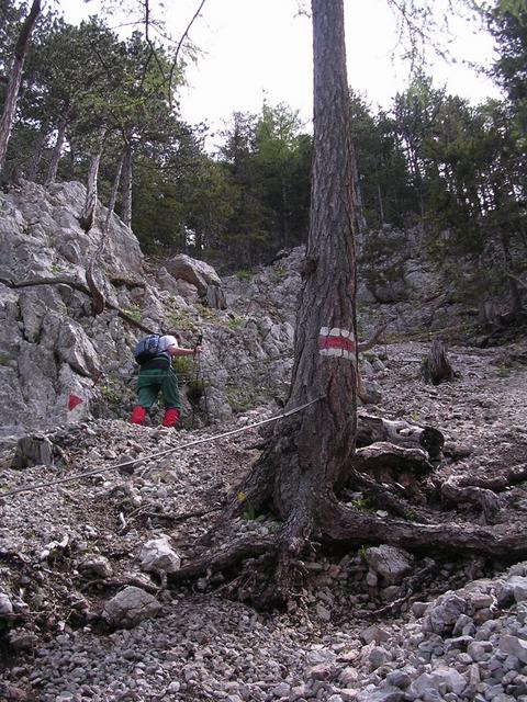 A képhez tartozó alt jellemző üres; 20241018_101325.jpg a fájlnév