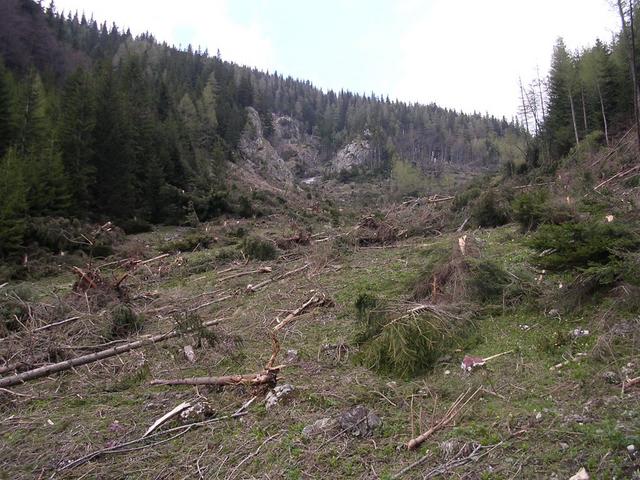 A képhez tartozó alt jellemző üres; 20241018_101325.jpg a fájlnév
