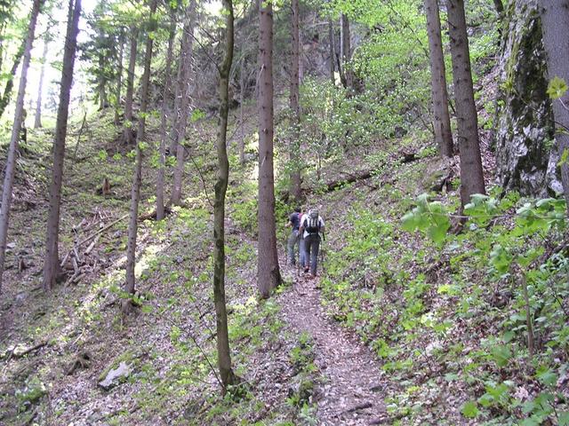 A képhez tartozó alt jellemző üres; 20241018_101325.jpg a fájlnév