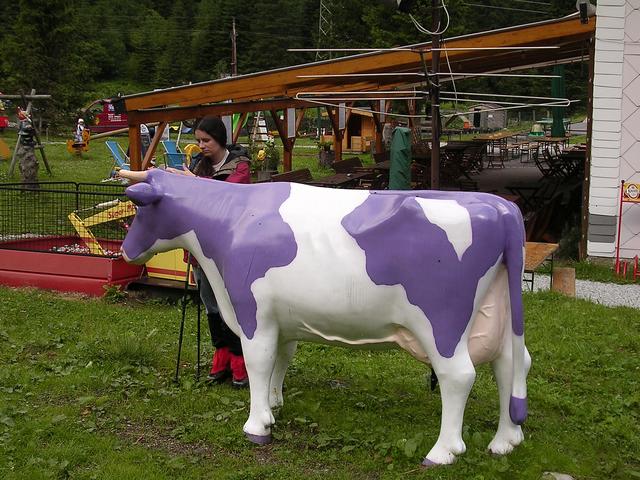 A képhez tartozó alt jellemző üres; 20241018_101325.jpg a fájlnév