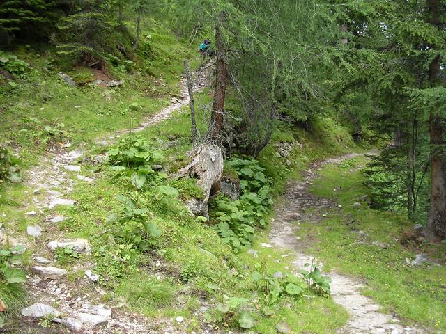 A képhez tartozó alt jellemző üres; 20241018_101325.jpg a fájlnév