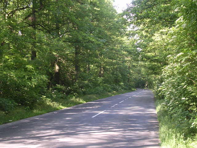 A képhez tartozó alt jellemző üres; 20241018_101325.jpg a fájlnév