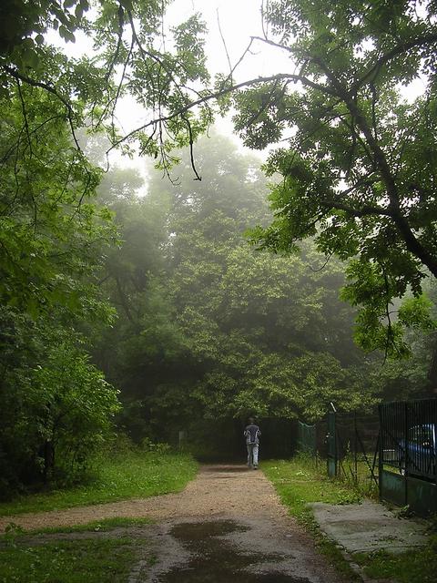 A képhez tartozó alt jellemző üres; 20241018_101325.jpg a fájlnév