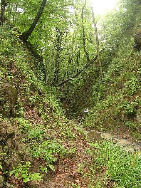 A képhez tartozó alt jellemző üres; 20241018_101325.jpg a fájlnév