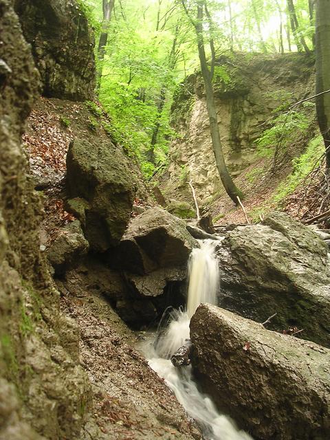 A képhez tartozó alt jellemző üres; 20241018_101325.jpg a fájlnév