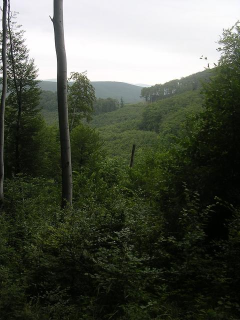 A képhez tartozó alt jellemző üres; 20241018_101325.jpg a fájlnév