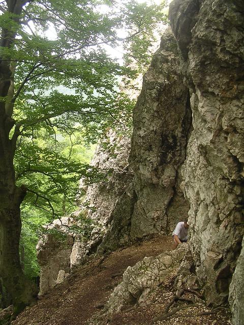 A képhez tartozó alt jellemző üres; 20241018_101325.jpg a fájlnév