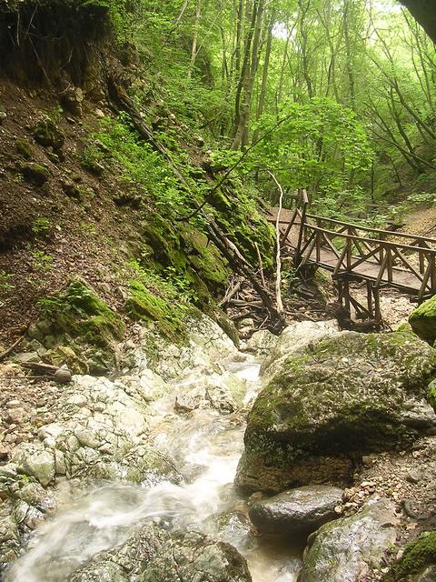 A képhez tartozó alt jellemző üres; 20241018_101325.jpg a fájlnév