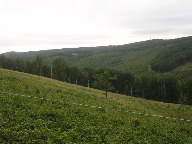 A képhez tartozó alt jellemző üres; 20241018_101325.jpg a fájlnév