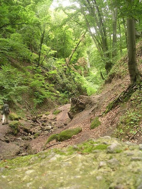 A képhez tartozó alt jellemző üres; 20241018_101325.jpg a fájlnév