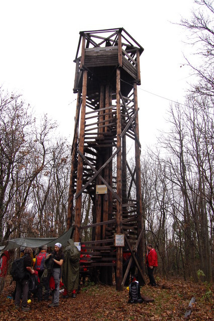 A képhez tartozó alt jellemző üres; 20241018_101325.jpg a fájlnév