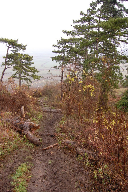 A képhez tartozó alt jellemző üres; 20241018_101325.jpg a fájlnév