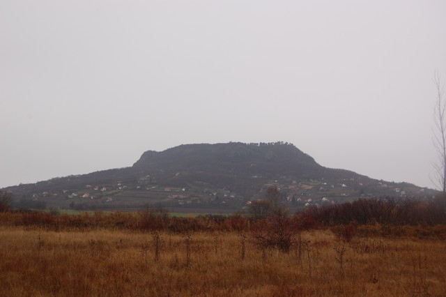 A képhez tartozó alt jellemző üres; 20241018_101325.jpg a fájlnév