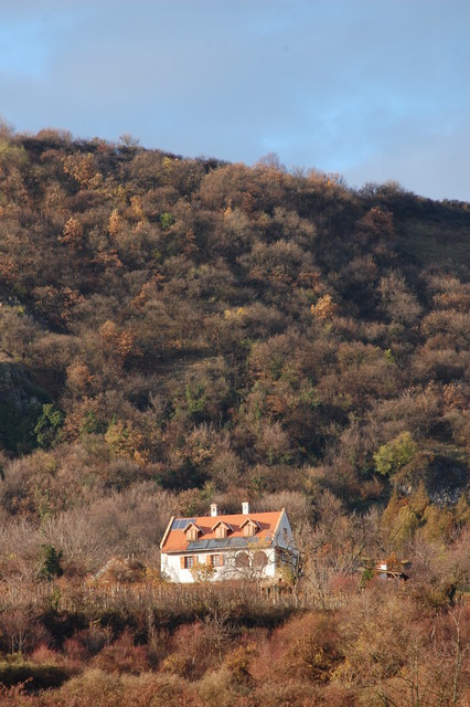 A képhez tartozó alt jellemző üres; 20241018_101325.jpg a fájlnév