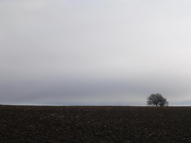 A képhez tartozó alt jellemző üres; 20241018_101325.jpg a fájlnév
