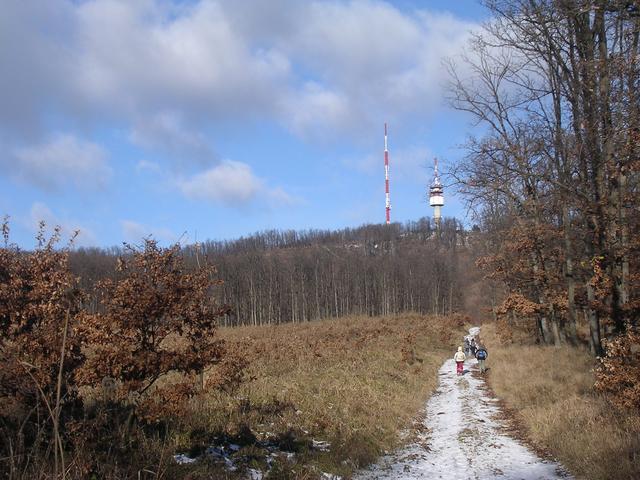 A képhez tartozó alt jellemző üres; 20241018_101325.jpg a fájlnév