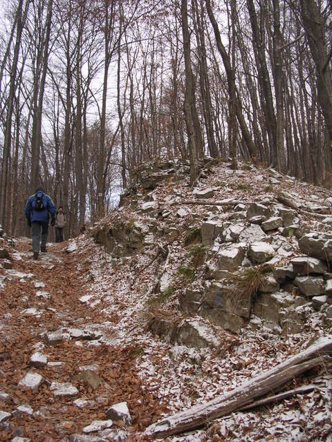 A képhez tartozó alt jellemző üres; 20241018_101325.jpg a fájlnév