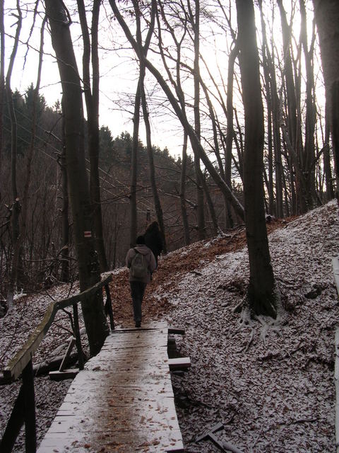A képhez tartozó alt jellemző üres; 20241018_101325.jpg a fájlnév