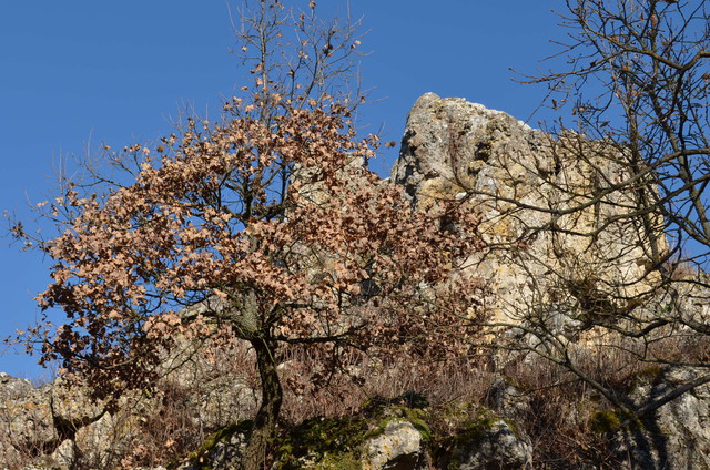 A képhez tartozó alt jellemző üres; 20241018_101325.jpg a fájlnév