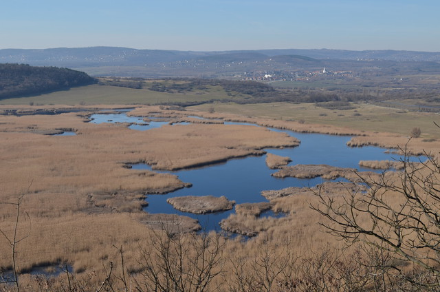 A képhez tartozó alt jellemző üres; 20241018_101325.jpg a fájlnév