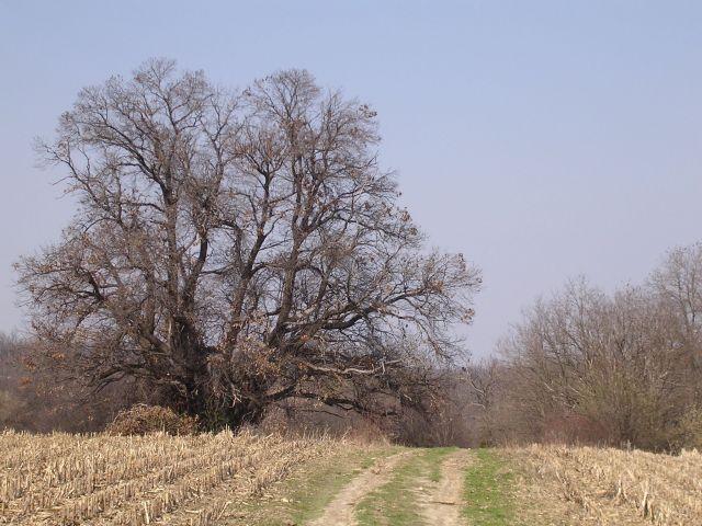 A képhez tartozó alt jellemző üres; 20241018_101325.jpg a fájlnév