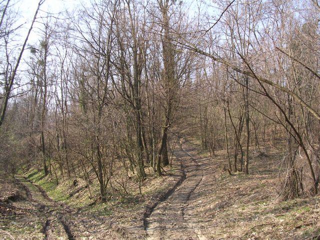A képhez tartozó alt jellemző üres; 20241018_101325.jpg a fájlnév